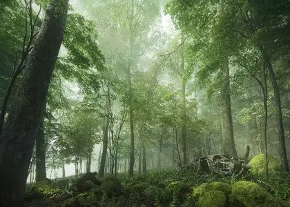 Archmodels v154 - Plants and Trees