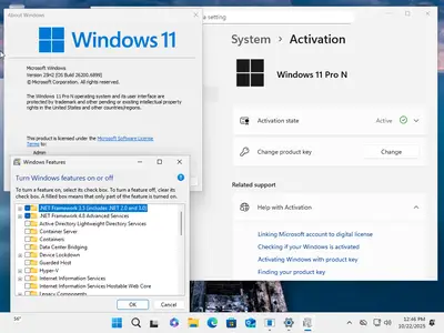 Windows 11 Aio 16in1 25H2 Build 26200.6899 (No TPM Required) Multilingual Preactivated October 2025
