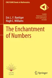The Enchantment of Numbers