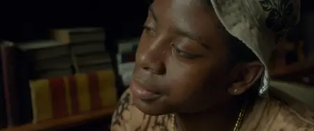 Me and Earl and the Dying Girl (2015)