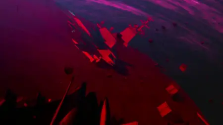 Infini-T Force 01 - Isolated Flower (BD 720p