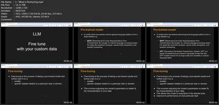 Llm - Fine Tune With Custom Data