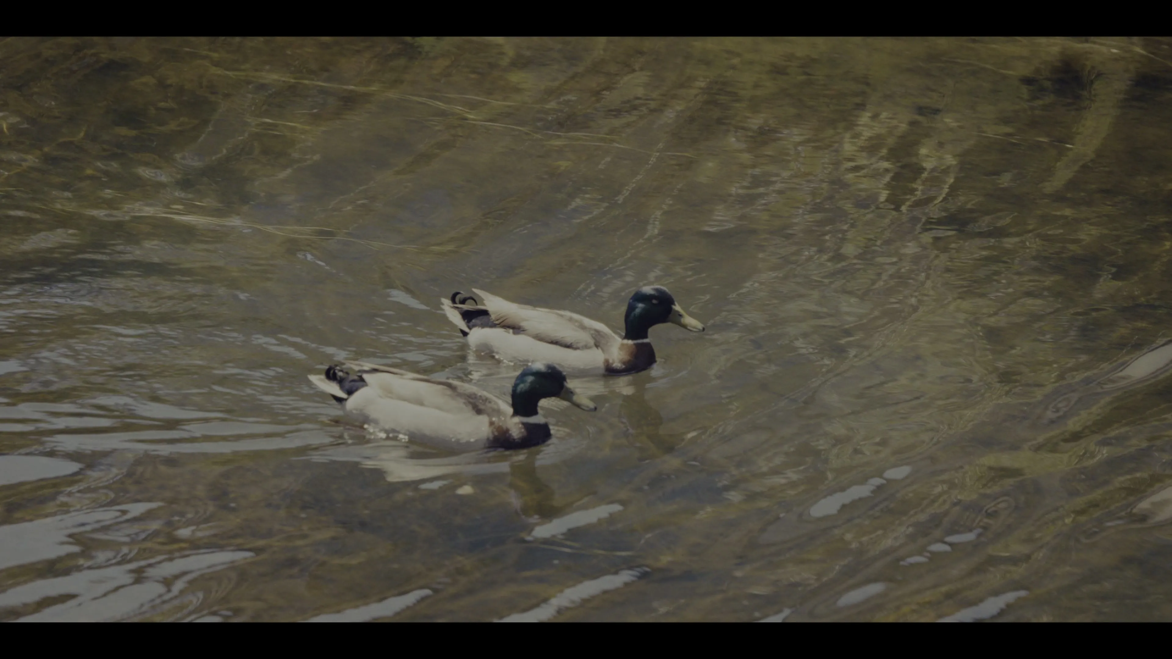 Nobody Wants This S02E01