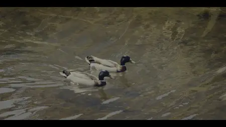 Nobody Wants This S02E01