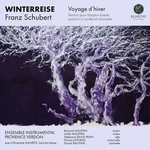 Ensemble Instrumental Provence Verdon & Jean-Christophe Maurice - Schubert: Winterreise - Voyage d'hiver (2024) [24/96]