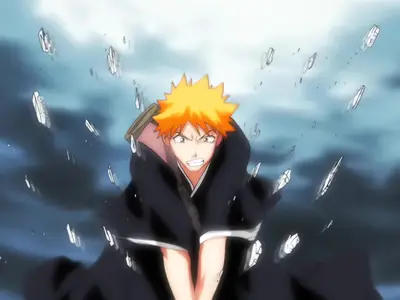 Bleach - 009