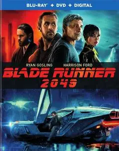 Blade Runner 2049 (2017)