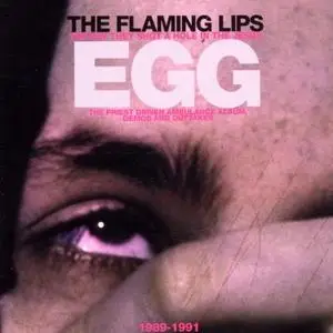 The Flaming Lips - The Day They Shot a Hole in the Jesus Egg (2002)