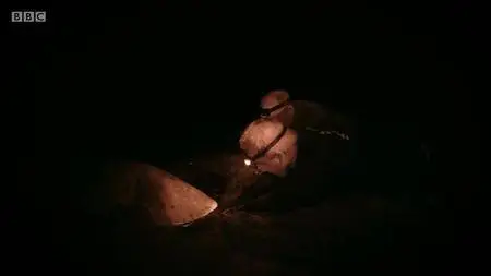 BBC.Documentaries.S2018E150.Natures.Turtle.Nursery.Secrets.from.the.Nest.720p.iP.WEB-DL.AAC2.0.H.264-RTN-Obfuscated S2018E150