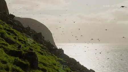 BBC - Scotland: The New Wild (2023)