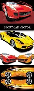 Sport Cars Vector