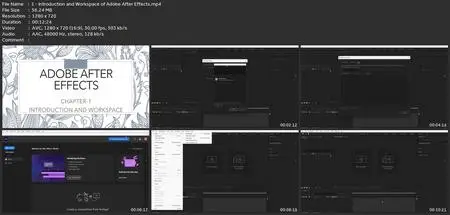Learn Adobe  After Effect With Motion Graphics And Animation