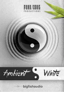 Big Fish Audio & Funk Soul Productions Ambient White KONTAKT