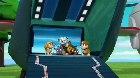 Paw Patrol S05E15