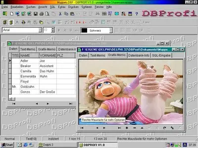 DBProfi 4.2 Bilanguage
