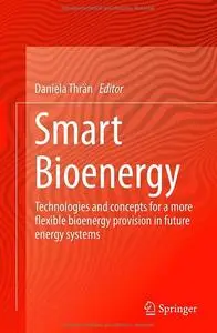 Smart Bioenergy: Technologies and concepts for a more flexible bioenergy provision in future energy systems