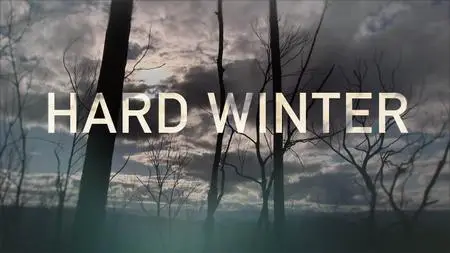 ABC - Four Corners: Hard Winter (2020)