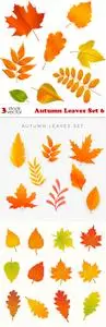 Vectors - Autumn Leaves Set 6