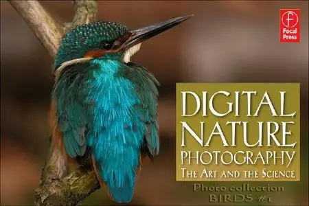 Digital Nature Photography - Photo collection - BIRDS #1