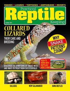 Practical Reptile Keeping - October 2021