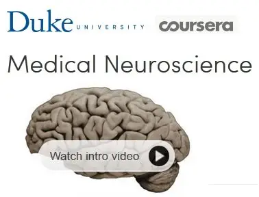 Coursera - Medical Neuroscienc