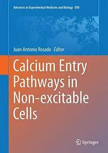 Calcium Entry Pathways in Non-excitable Cells