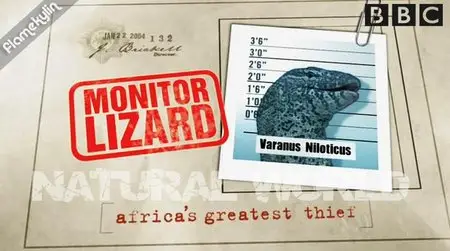 BBC Wildlife - Monitor Lizard - Africas Greatest Thief (2004)