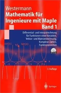 Mathematik für Ingenieure mit Maple: Band 1