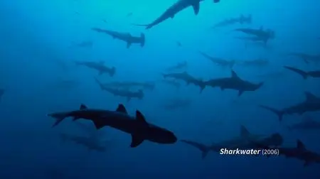 Sharkwater Extinction (2018)