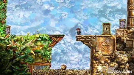 Braid (PC)
