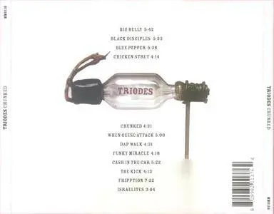 Triodes - Chunked (2009) {Modica Music}