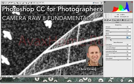 Photoshop CC for Photographers: Camera Raw 8 Fundamentals