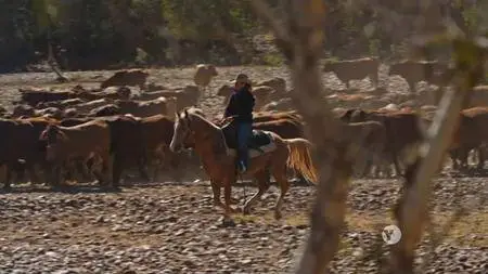PBS - Outback: The Dry Season (2018)