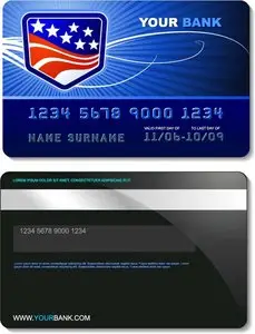 Vector Credit Card
