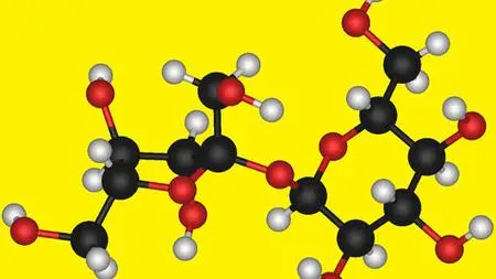 Learn About Polymers & Ceramics From Basics