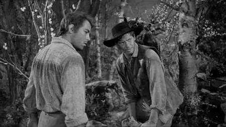 Desire Under the Elms (1957)