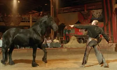 Cabaret Equestre - by Bartabas Zingaro (2004). Repost