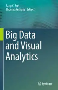 Big Data and Visual Analytics (Repost)