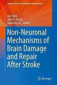 Non-Neuronal Mechanisms of Brain Damage and Repair After Stroke (Repost)