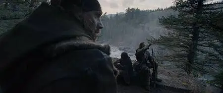 The Revenant (2015)