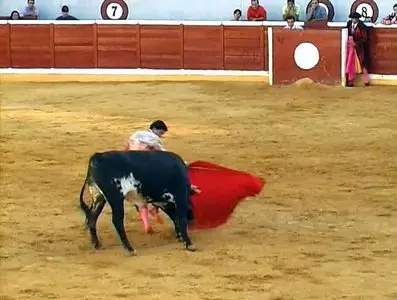 Золотой глобус. 8. Испания