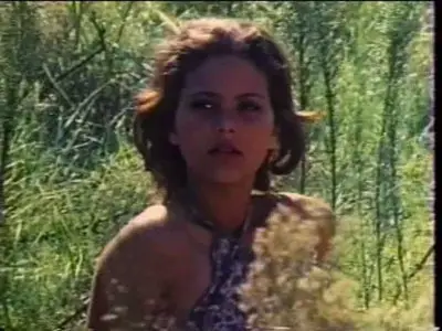 Summer Affair (1972)