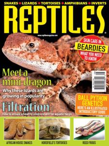 Reptiles - July-August 2020
