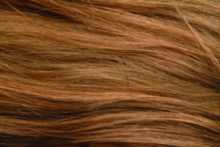 Textures - Hair