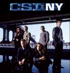 CSI New York S05 Full Season