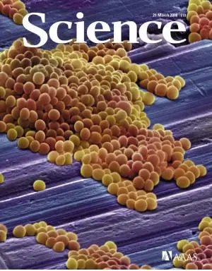 Science March 21 2008