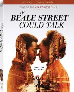 If Beale Street Could Talk (2018) [w/Commentary]