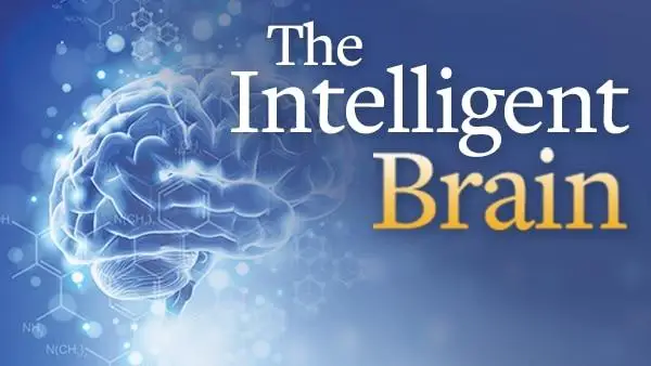 The Intelligent Brain / AvaxHome