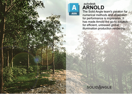 Solid Angle Cinema 4D to Arnold 4.5.1.1