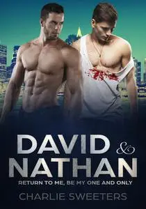 «David & Nathan – Return to Me, Be My One And Only» by Charlie Sweeters